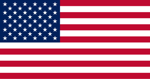 Steagul: Statele Unite ale Americii