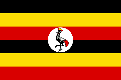 Steagul: Uganda